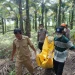 Polsek Cigudeg Gelar Olah TKP Atas Penemuan Mayat Pria Tanpa Identitas di Perkebunan Kelapa Sawit