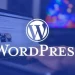 WordPress: Membuat dan Mengelola situs web Serta Manfaatnya !