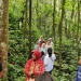 Kawasan Hutan Organik Megamendung Jadi Kandidat Penerima Kalpataru
