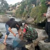 Terbungkus Tas Belanja, Jasad Bayi di Temukan Aliran Sungai Ciliwung