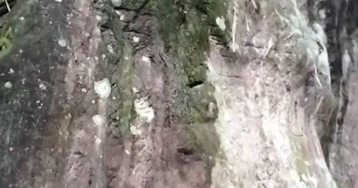 Situs Batu Tulis di Lereng Gunung Kujang Tambak Mekar Cagar Budaya Penuh Misteri