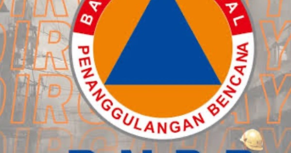 BNPB Klarifikasi Perihal Perangkat untuk Respons Cepat Banjir Aceh Tamiang/logo