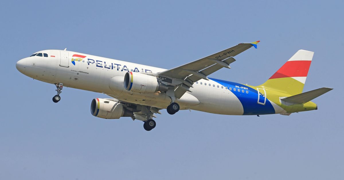 Ilustrasi pesawat Pelita Air (Foto (Pexels)