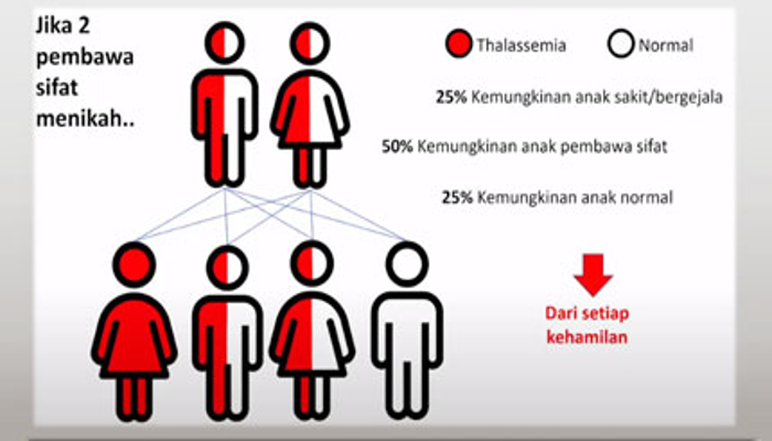 Menjaga Keturunan Sehat: Ikhtiar Mencegah Talasemia dalam Pandangan Islam