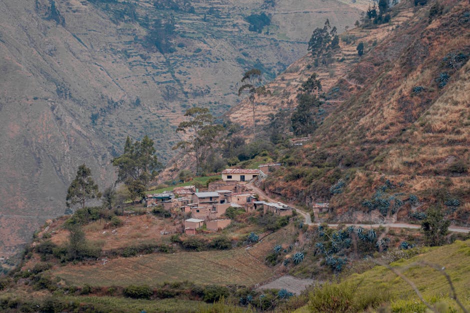 Transformasi Komoditas Lokal Jadi Produk Unggulan Berdaya Saing Global