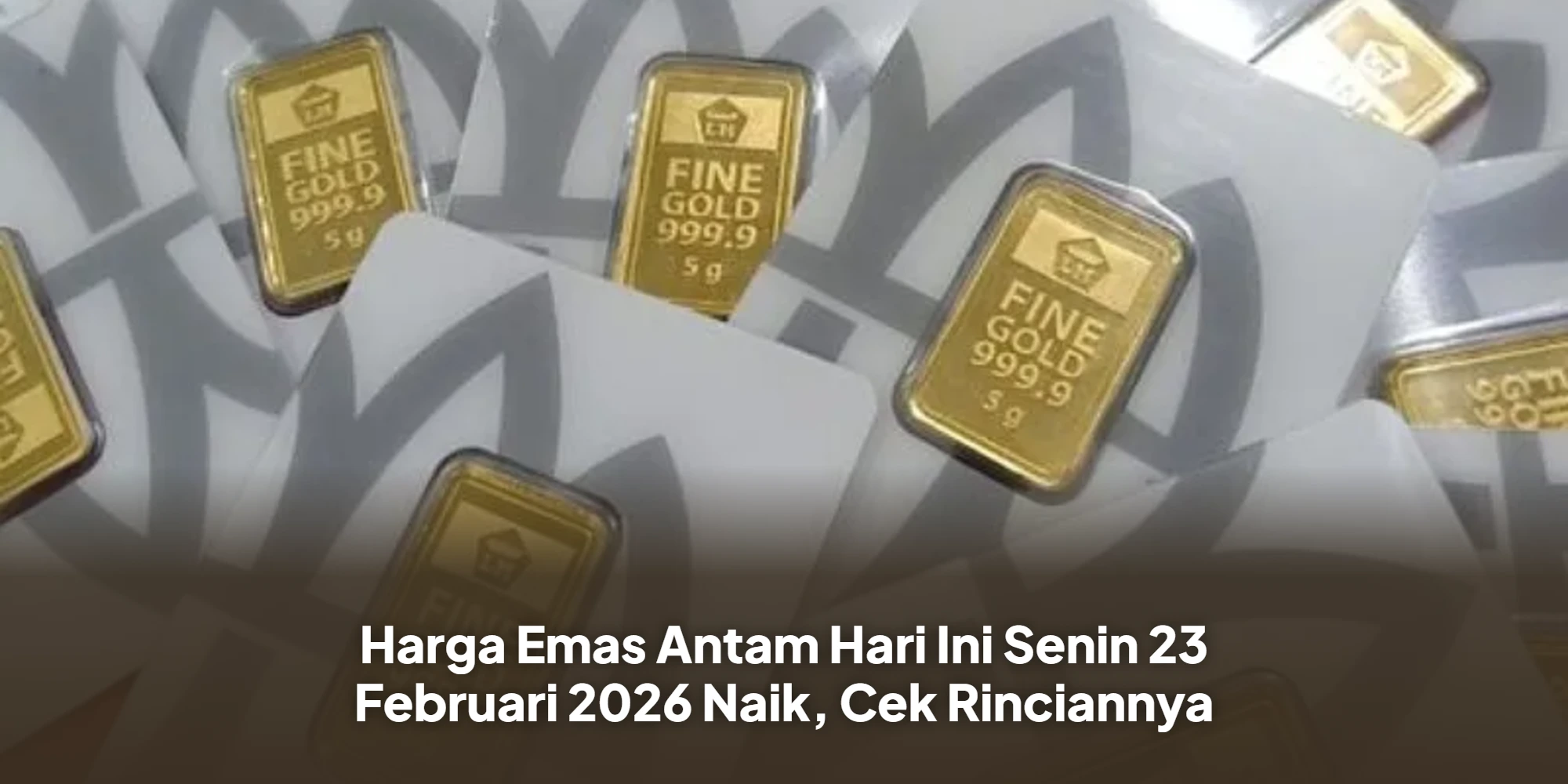 Peluang Karir BPJS Kesehatan Februari 2026: Simak Syarat dan Cara Daftarnya!