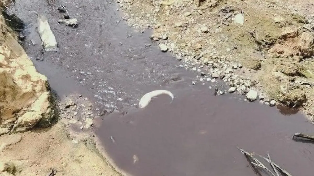 Misteri Pencemaran Sungai Tujung: Polisi Selidiki Hasil Uji Lab Limbah Nunukan