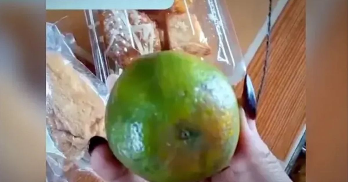 SPPG Bojonegoro Laporkan Akun TikTok Pengkritik Menu MBG, Ini Duduk Perkaranya