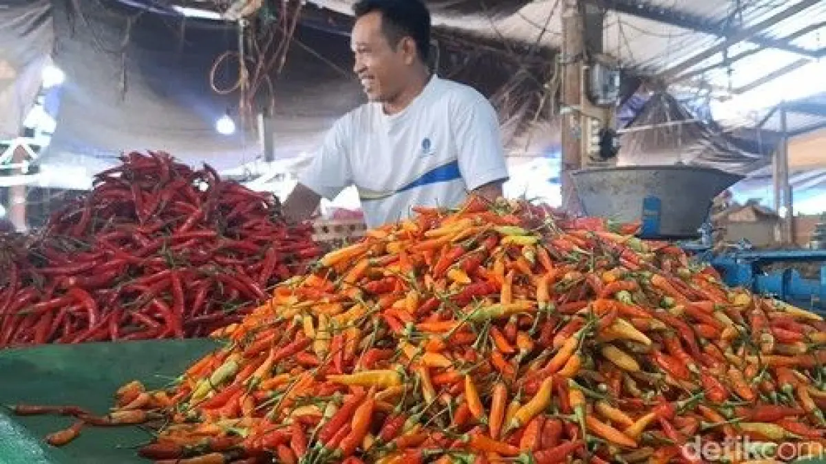 Harga Cabai Rawit Meroket, Inflasi NTB Tembus 0,84 Persen di Februari 2026