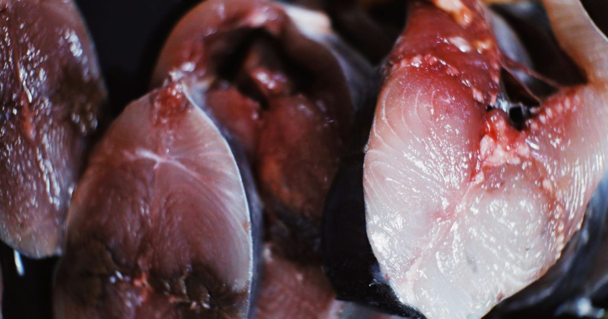 Menu Makan Siang Gratis Pamekasan Disorot: Mengurai Fakta di Balik Viralitas Sajian Lele Mentah