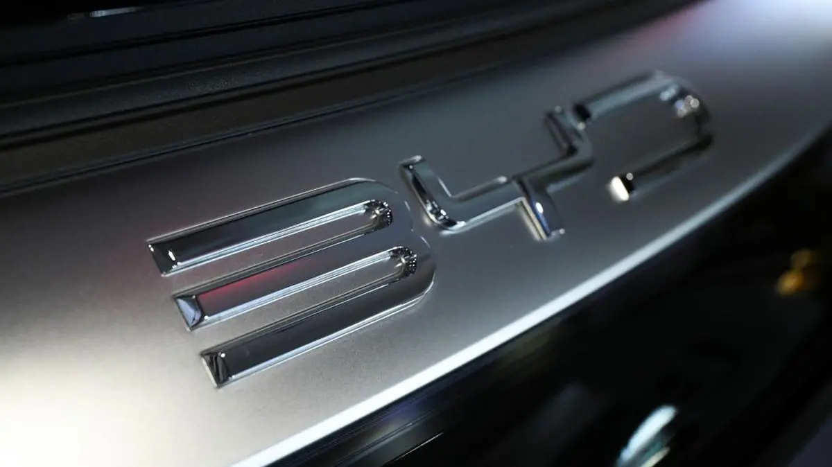 Mobil BYD. Foto: REUTERS/ANNEGRET HILSE