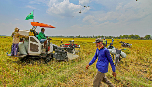 Antisipasi Lebaran 2024: Pemerintah Tegaskan Stok Kebutuhan Pokok Nasional Terjamin Aman dan Terkendali