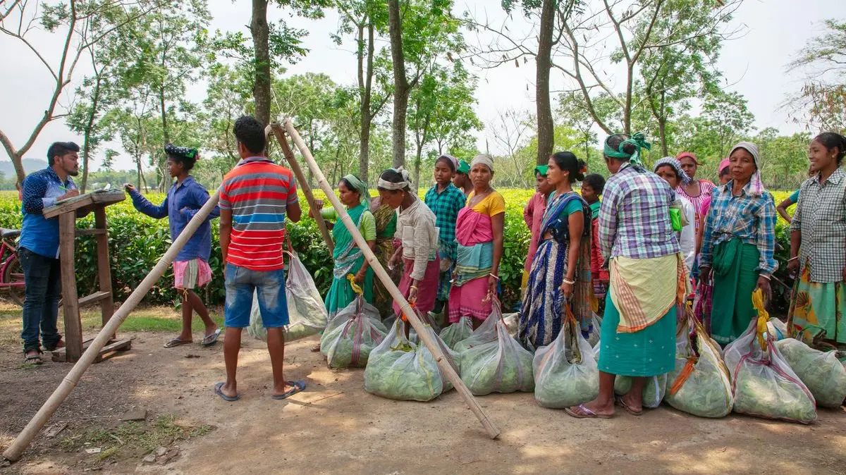 ilustrasi bantuan sosial (Foto: Unsplash)