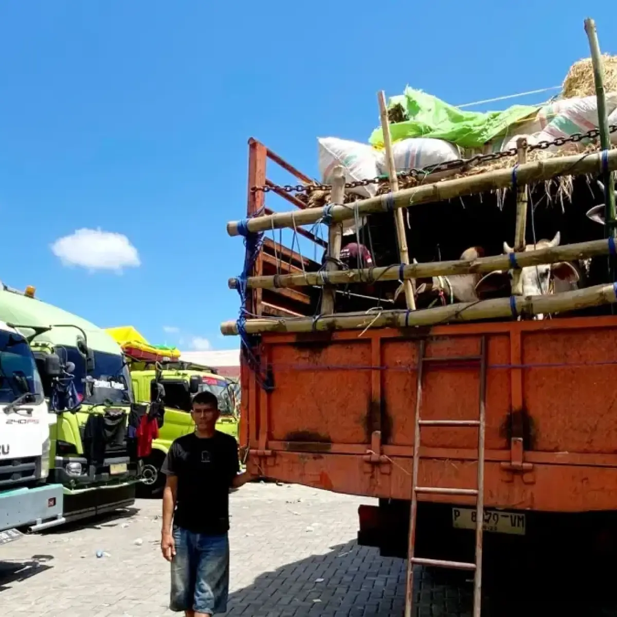 Serbuan Truk Impor dari Tiongkok Ancam Dominasi Industri Kendaraan Niaga Nasional