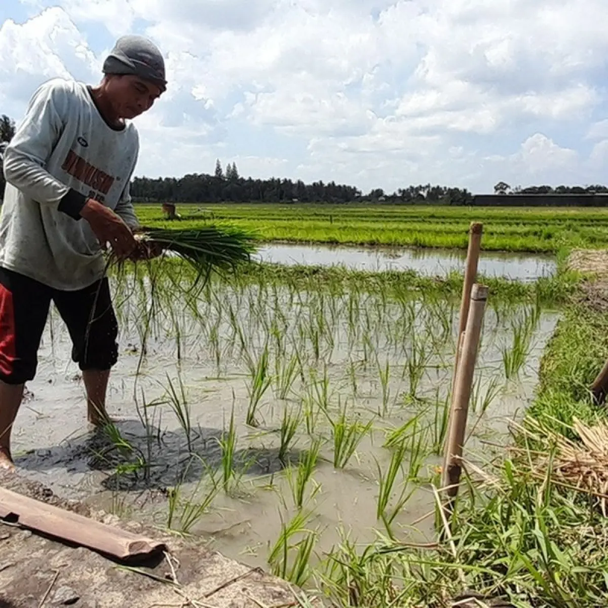 Daliman (63), warga Padukuhan Sidatan RT 27 RW 9, Kaligintung Kidul, Kalurahan Kaligintung, Kapanewon Temon, Kabupaten Kulon Progo, Daerah Istimewa Yogyakarta(KOMPAS.COM/DANI JULIUS)