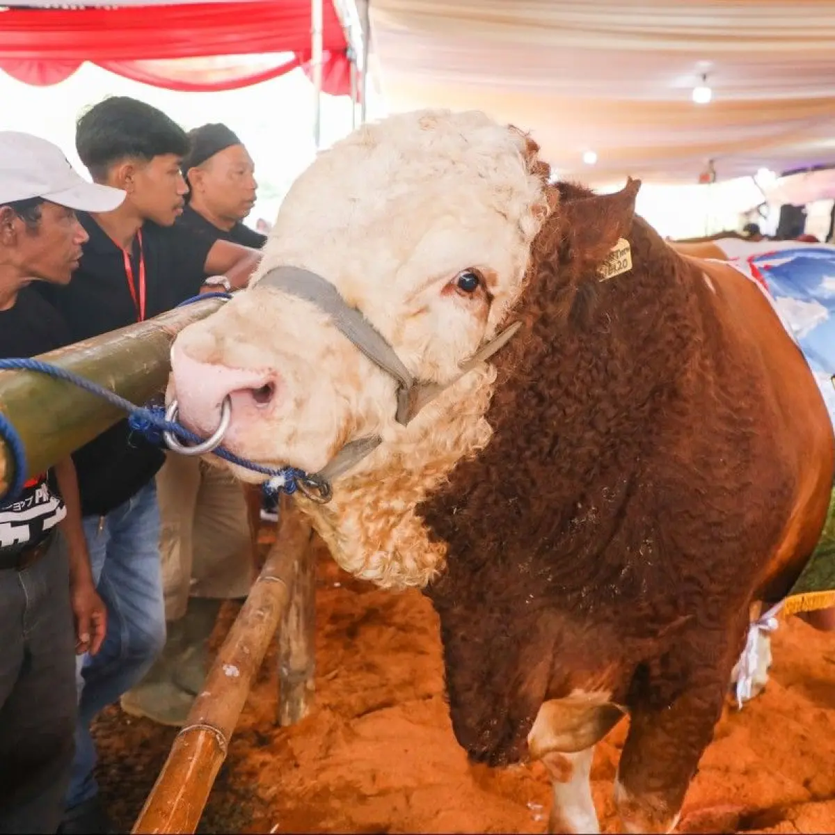 Foto: dok. Pemprov Jateng