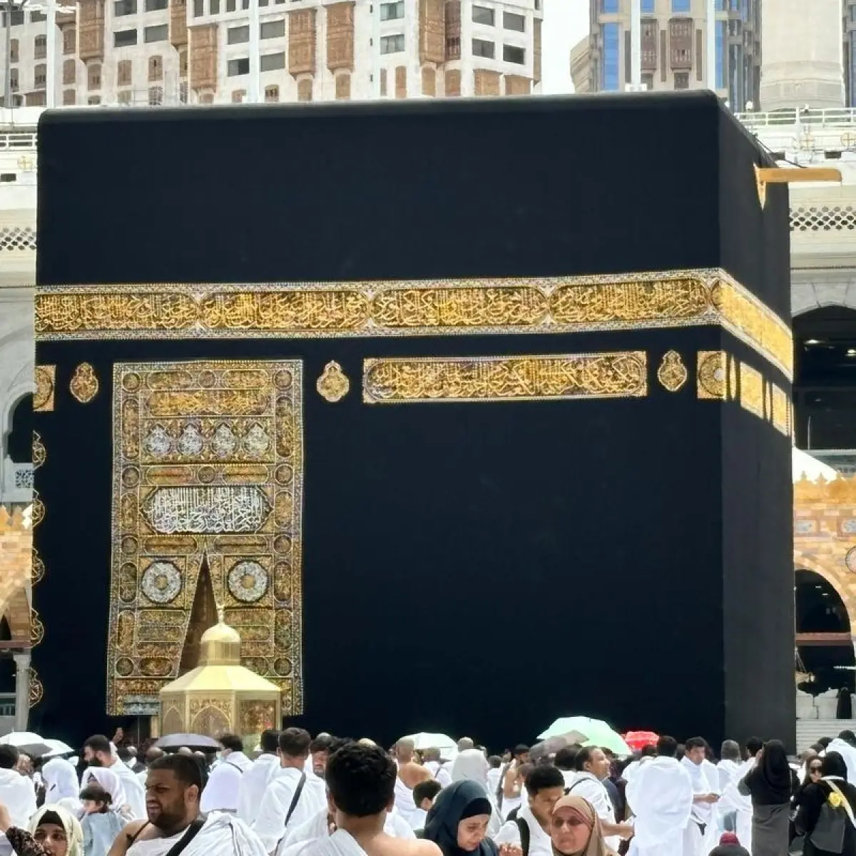 Percepatan Layanan Haji 2026: 28 Ribu Jemaah Telah Berangkat, Fast Track Jadi Kunci Kenyamanan