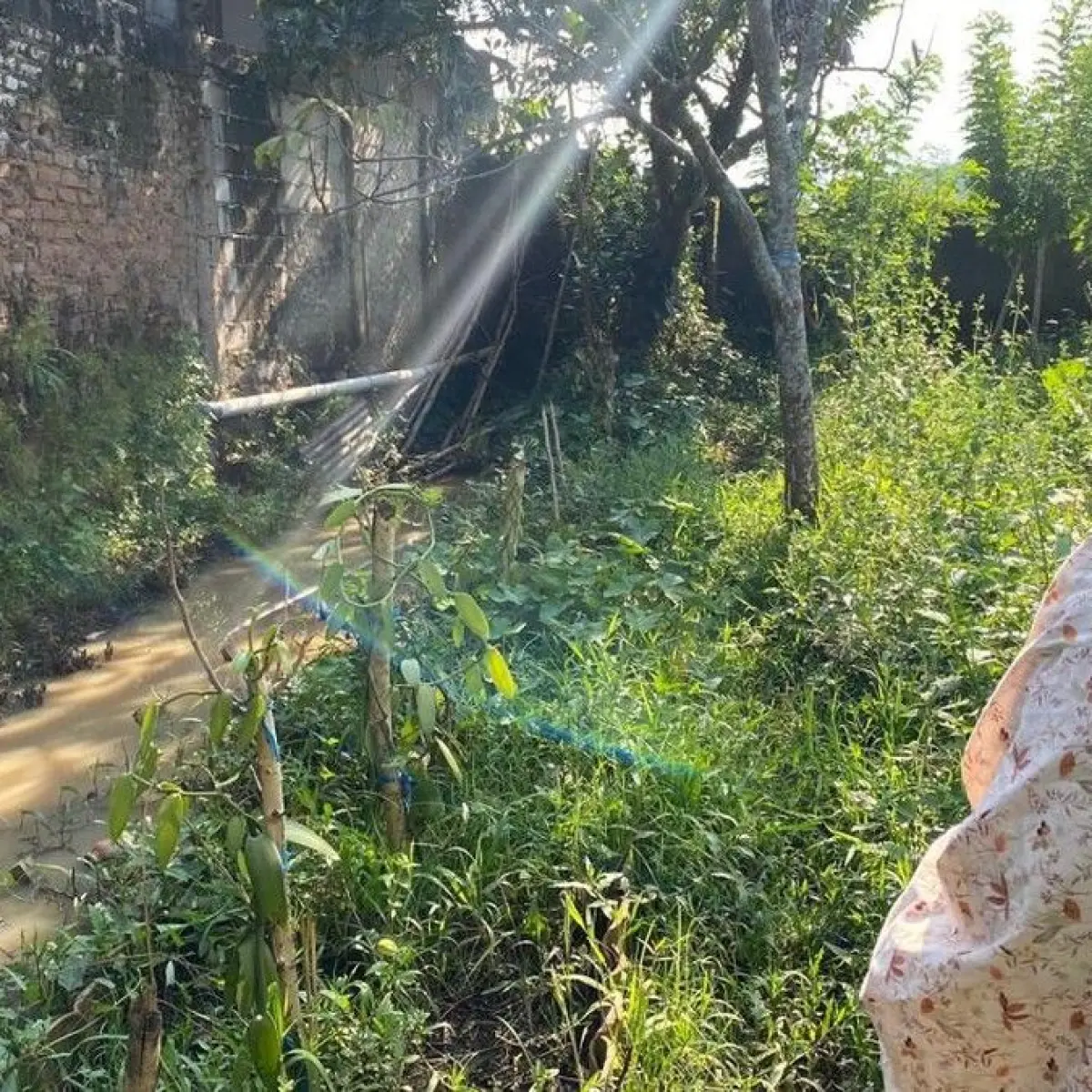 saluran air diduga tercemar limbah dapur MBG (Foto: Ikbal Selamet/detikJabar)