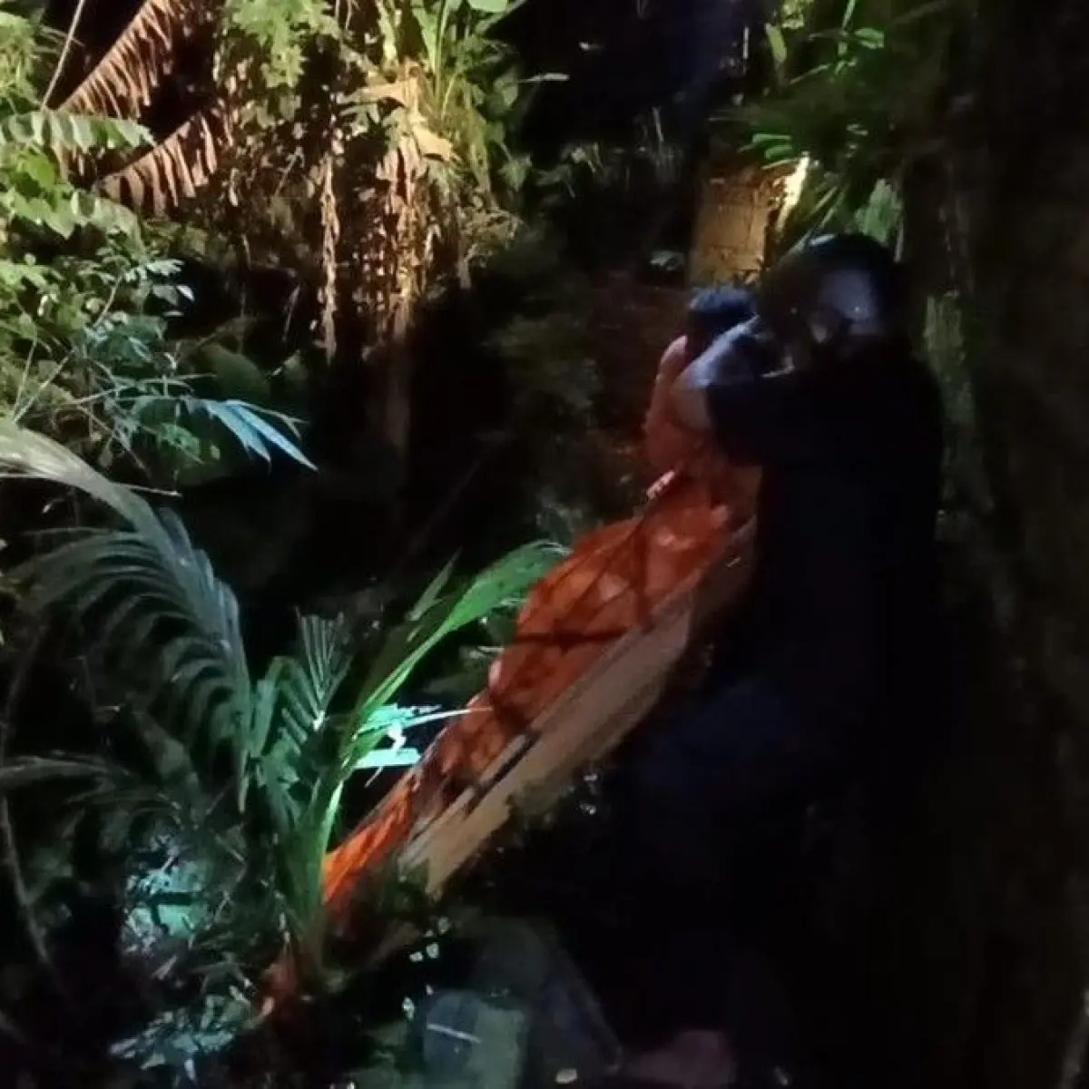 Tragedi di Ubud: Warga Negara Swedia Ditemukan Meninggal di Dasar Jurang Kedalaman 30 Meter