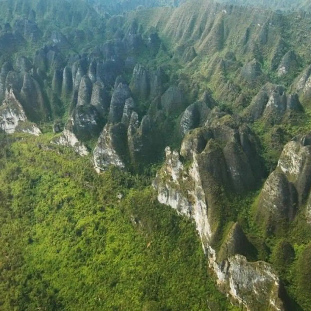 Eksplorasi Warisan Geologi dan Sejarah: Gunung Kulat Diharapkan Jadi Bagian Integral Geopark Sangkulirang