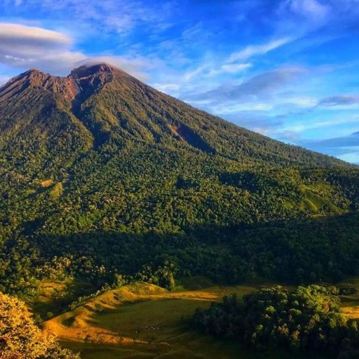 Foto: Suasana Gunung Rinjani, Lombok, Nusa Tenggara Barat. (Ahmad Viqi/detikBali)