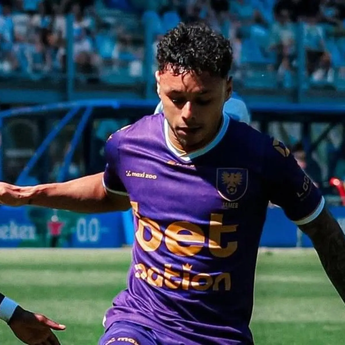 Ancaman Chaos Eredivisie: KNVB Terancam Batalkan Musim Akibat Skandal Pemain Tak Sah