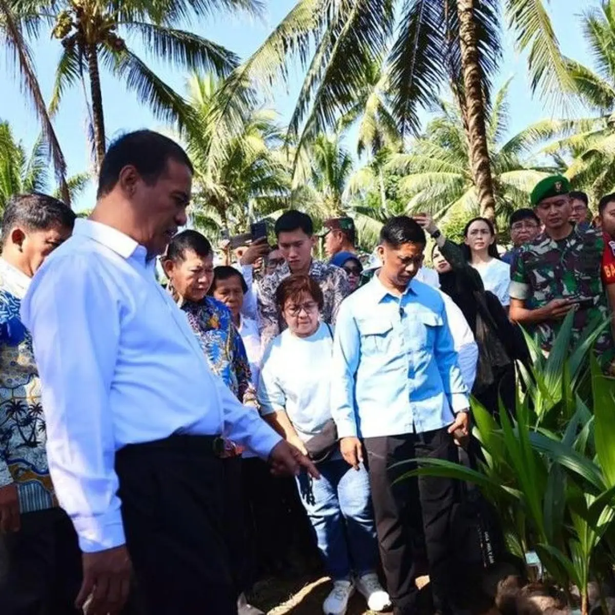 Menteri Pertanian Sidak Manado: Bibit Kelapa Tak Sesuai Standar, Ancaman Sanksi Berat Menanti