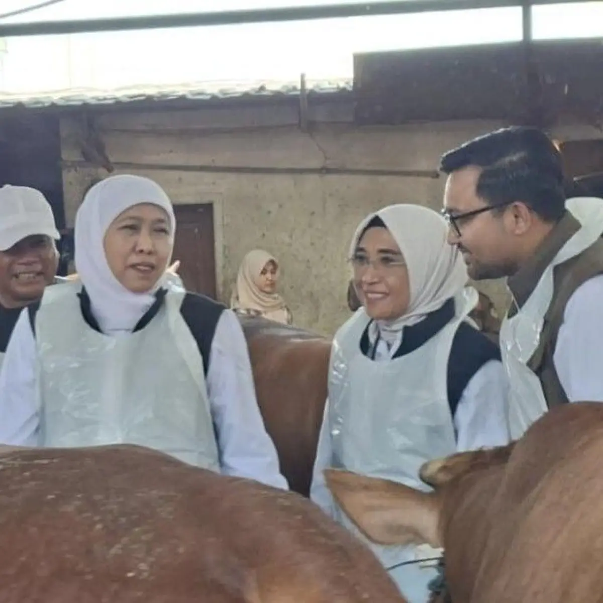 Pemprov Jatim Perketat Pengawasan Lapak Hewan Kurban, Pastikan Kesehatan dan Keamanan Konsumsi Jelang Idul Adha
