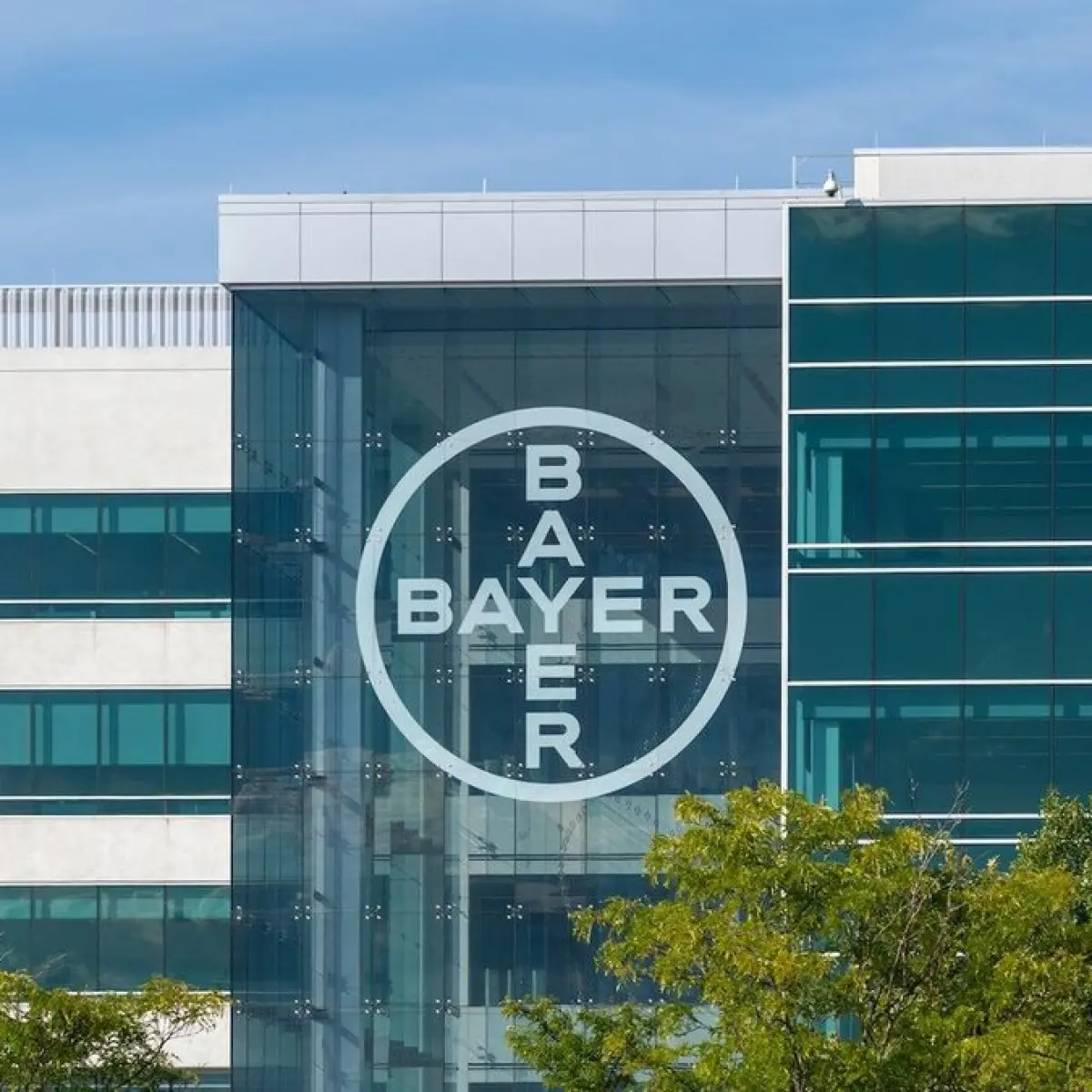 Ilustrasi: Bayer Perkuat Portofolio Oftalmologi Melalui Pengambilalihan Perfuse Therapeutics