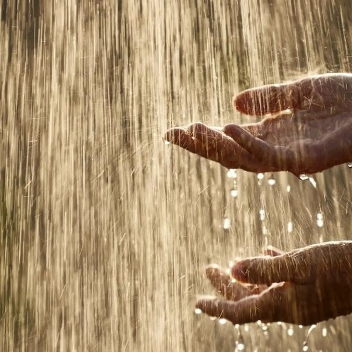 Ilustrasi hujan. Foto: Getty Images/skynesher