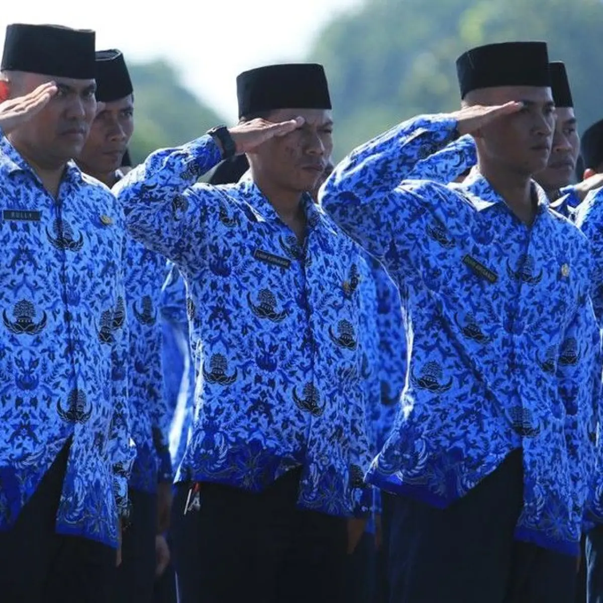 Ilustrasi Pegawai. Foto: Getty Images/Yamtono_Sardi