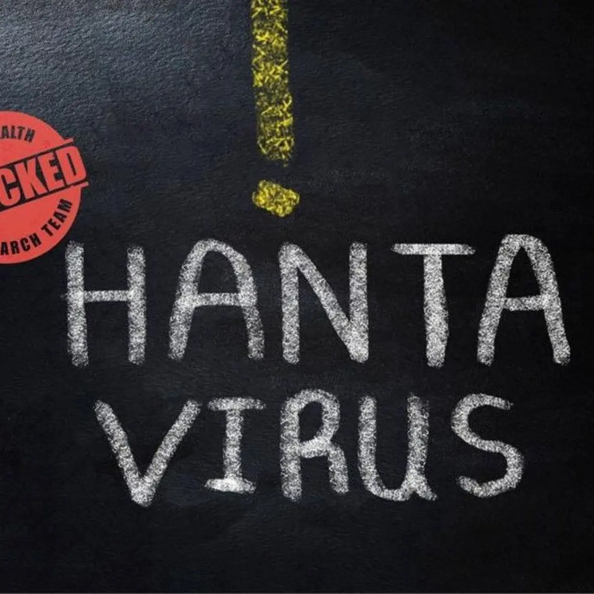 Hantavirus merupakan umbrella term untuk sekelompok virus dalam family Hantaviridae. Andes virus termasuk di dalamnya. Foto: iStock