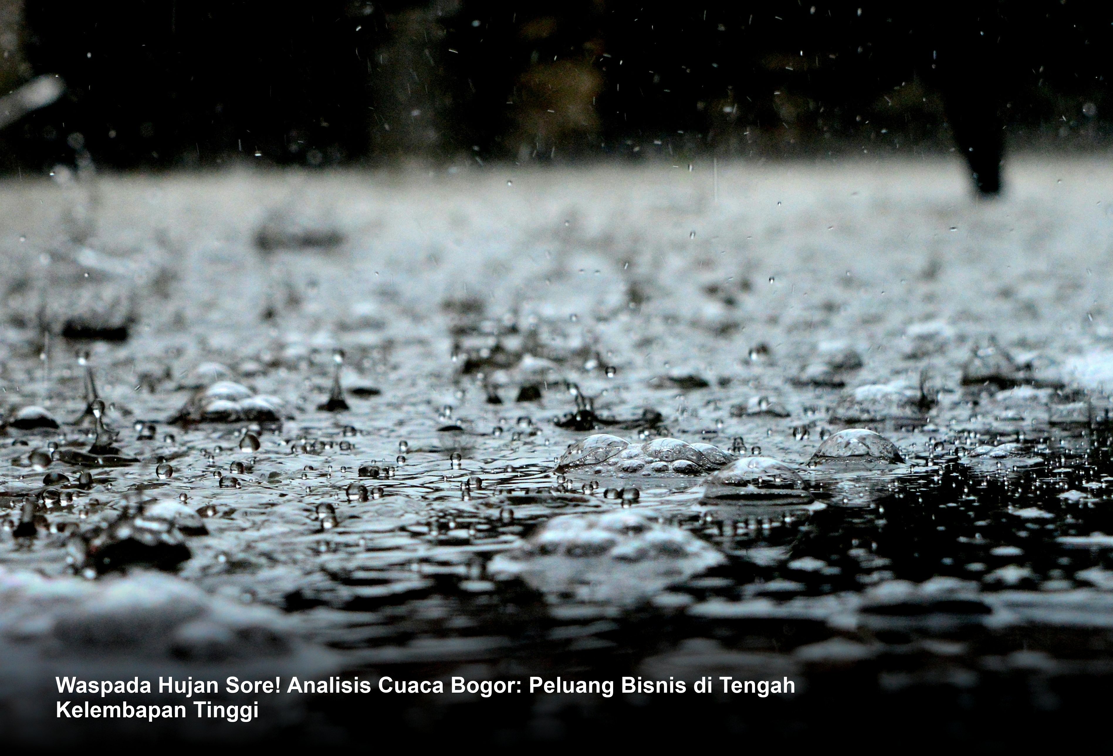 Waspada Hujan Sore! Analisis Cuaca Bogor: Peluang Bisnis di Tengah Kelembapan Tinggi