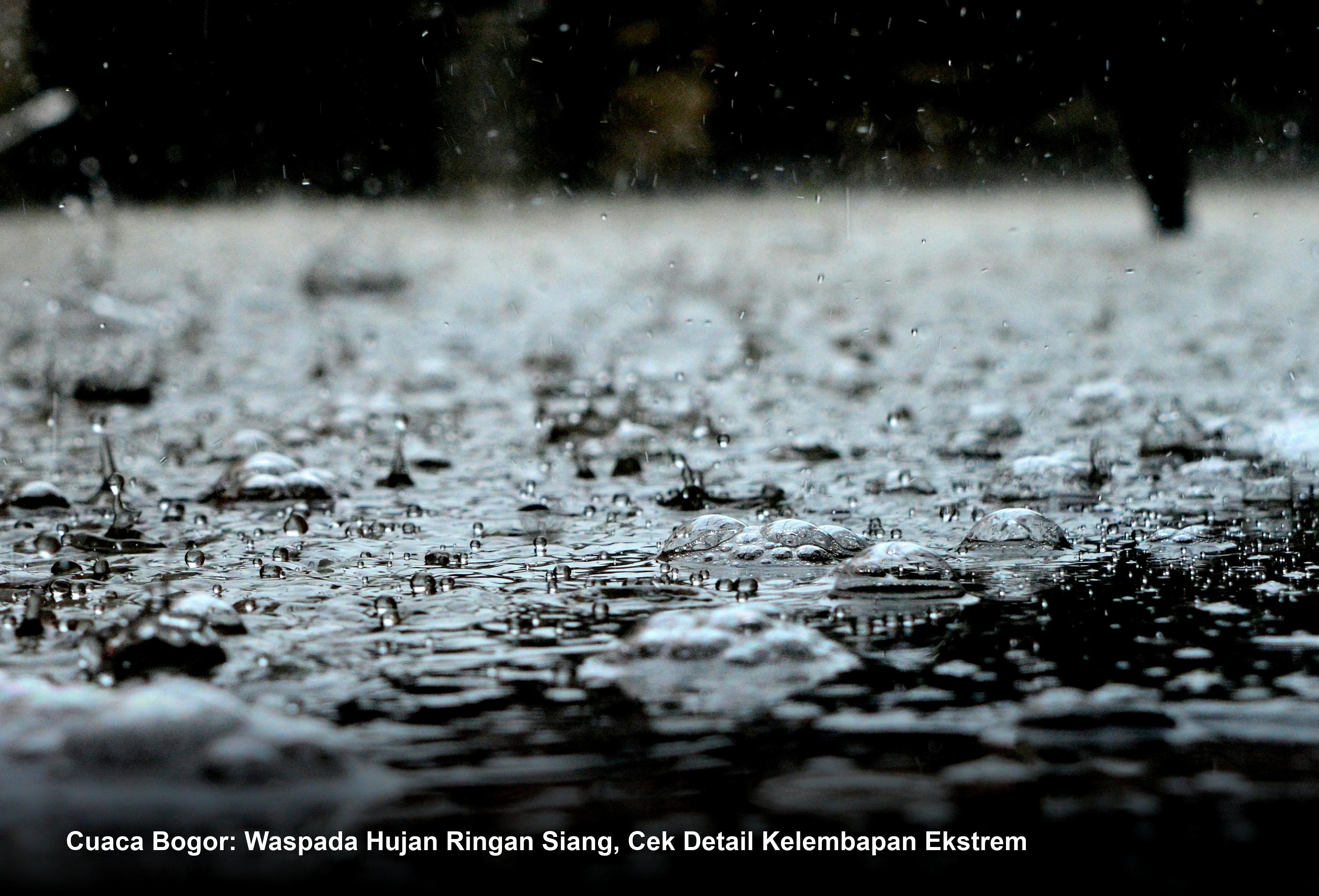 Cuaca Bogor: Waspada Hujan Ringan Siang, Cek Detail Kelembapan Ekstrem