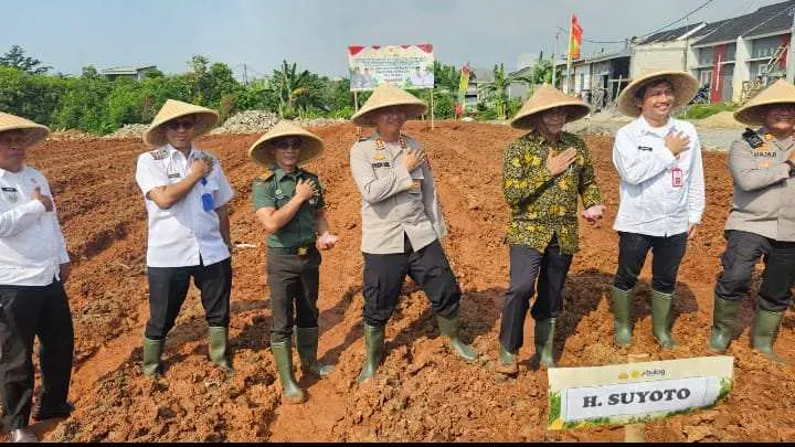 Camat Rajeg Hadiri Tanam Jagung Hibrida Oleh PT Asri Yulian Pratama, 
