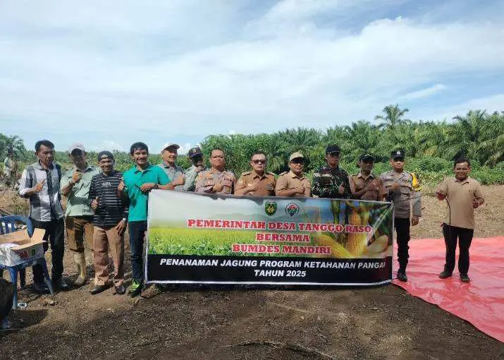 Dukung Program Ketahanan Pangan Nasional, Pemdes Tanggo Raso dan Bumdes Mandiri Gelar Kegiatan Tanam Jagung