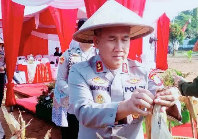 Buktikan Komitmen Dukung Ketahanan Pangan Nasional, Kapolda Bengkulu Gelar Panen Raya Jagung