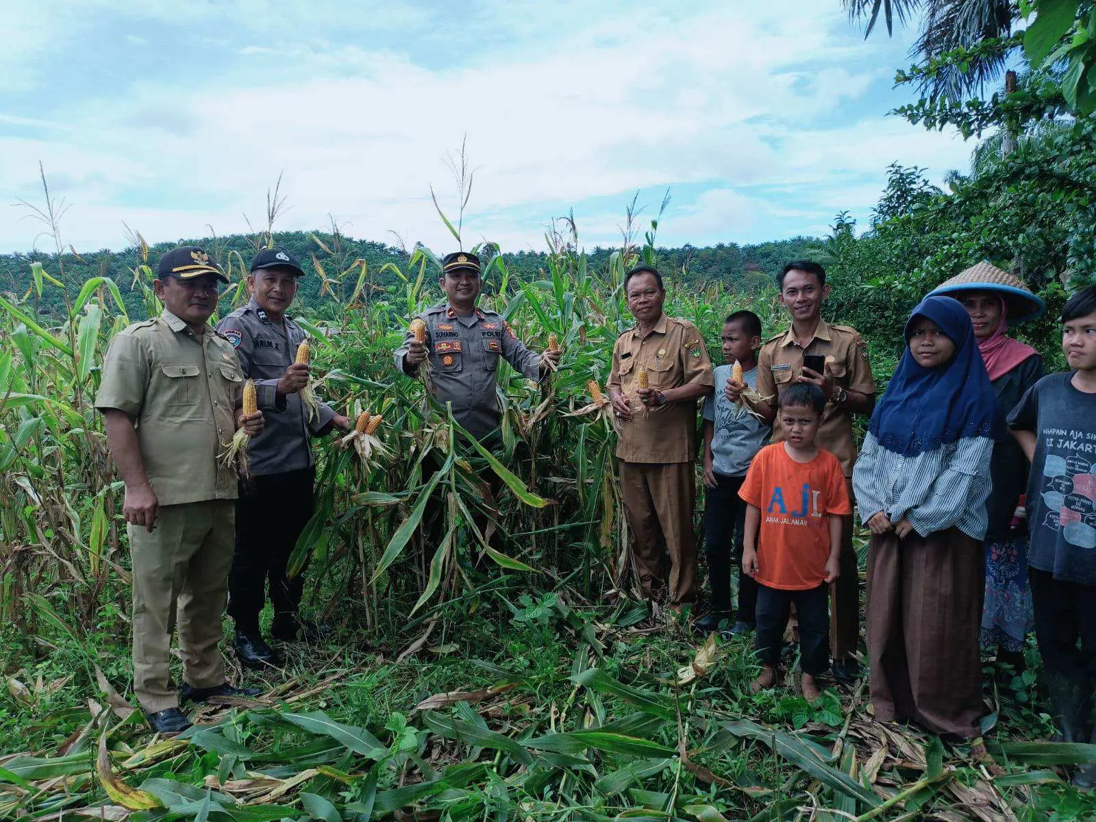 Kapolsek Kedurang Ilir Polres Bengkulu Selatan Gelar Panen Raya Jagung Dalam Rangka Mendukung Program Astacita Presiden