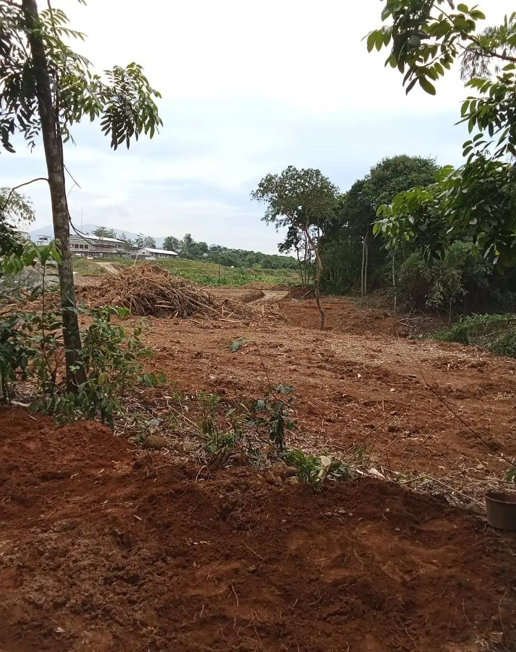 Tergiur dengan Nilai Ganti Rugi, Diduga ada Manipulasi Surat Tanah dalam Pengadaan Tanah Bendungan Cibeet di Desa Kutamekar