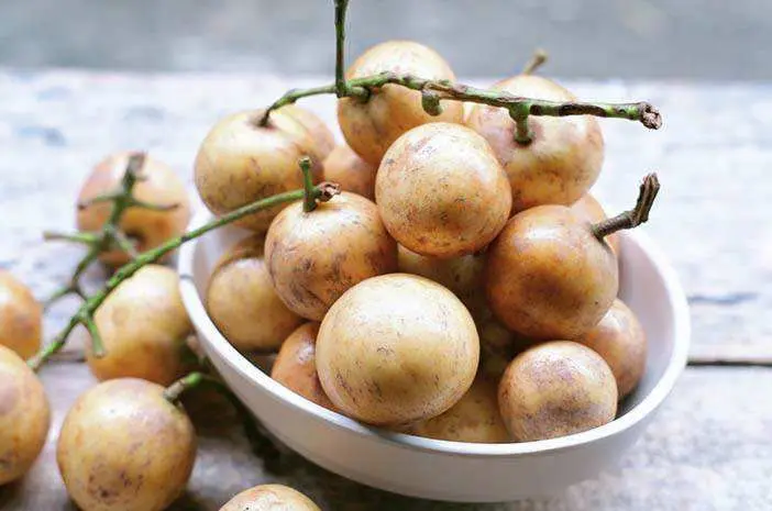 Jangan Dipandang Sebelah Mata, Buah Tupak Ternyata Bermanfaat Bagi Kesehatan