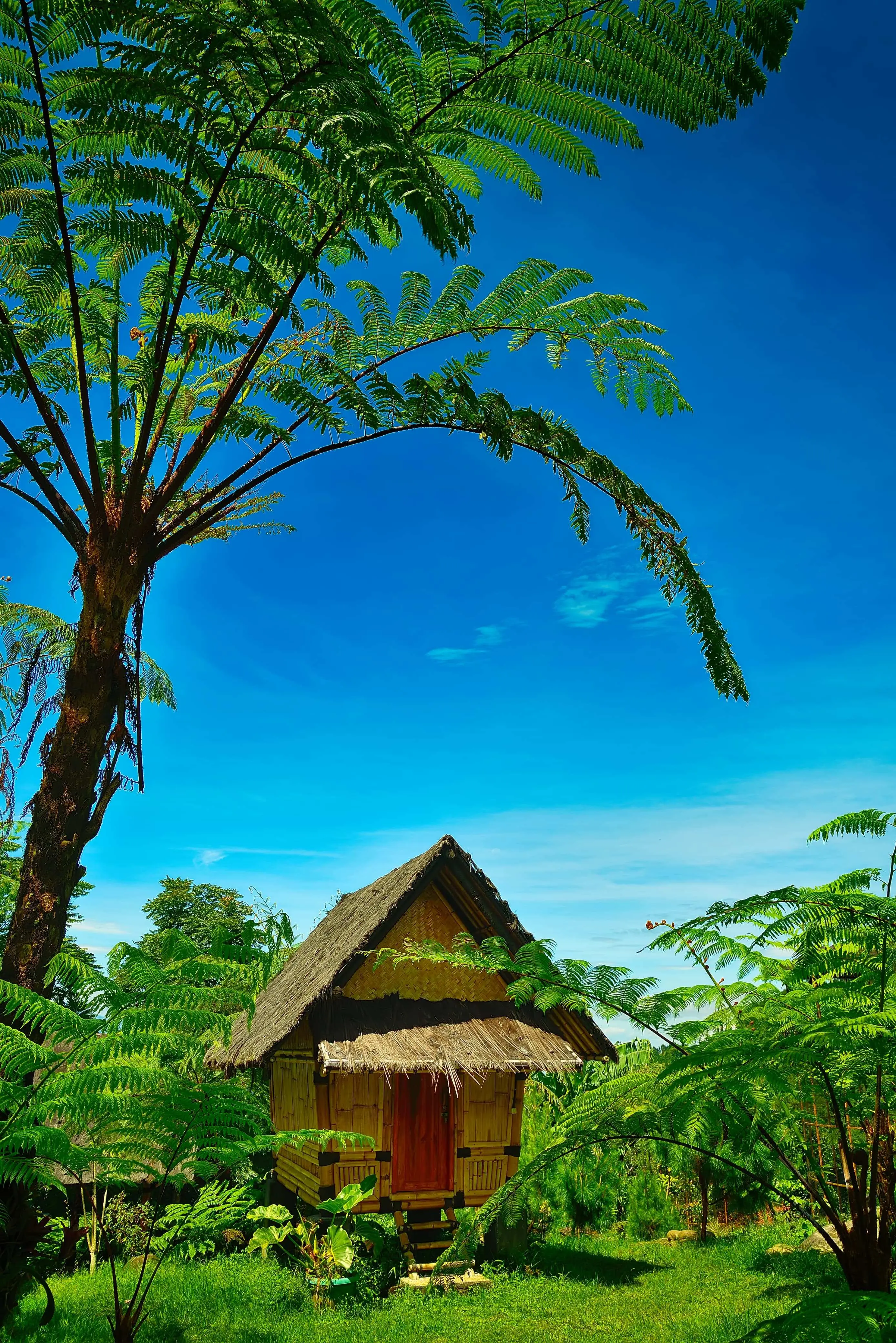 Kampung Budaya Sunda Paseban di Puncak Bogor, Wisata Alam yang Mempesona dan Banyak Uniknya