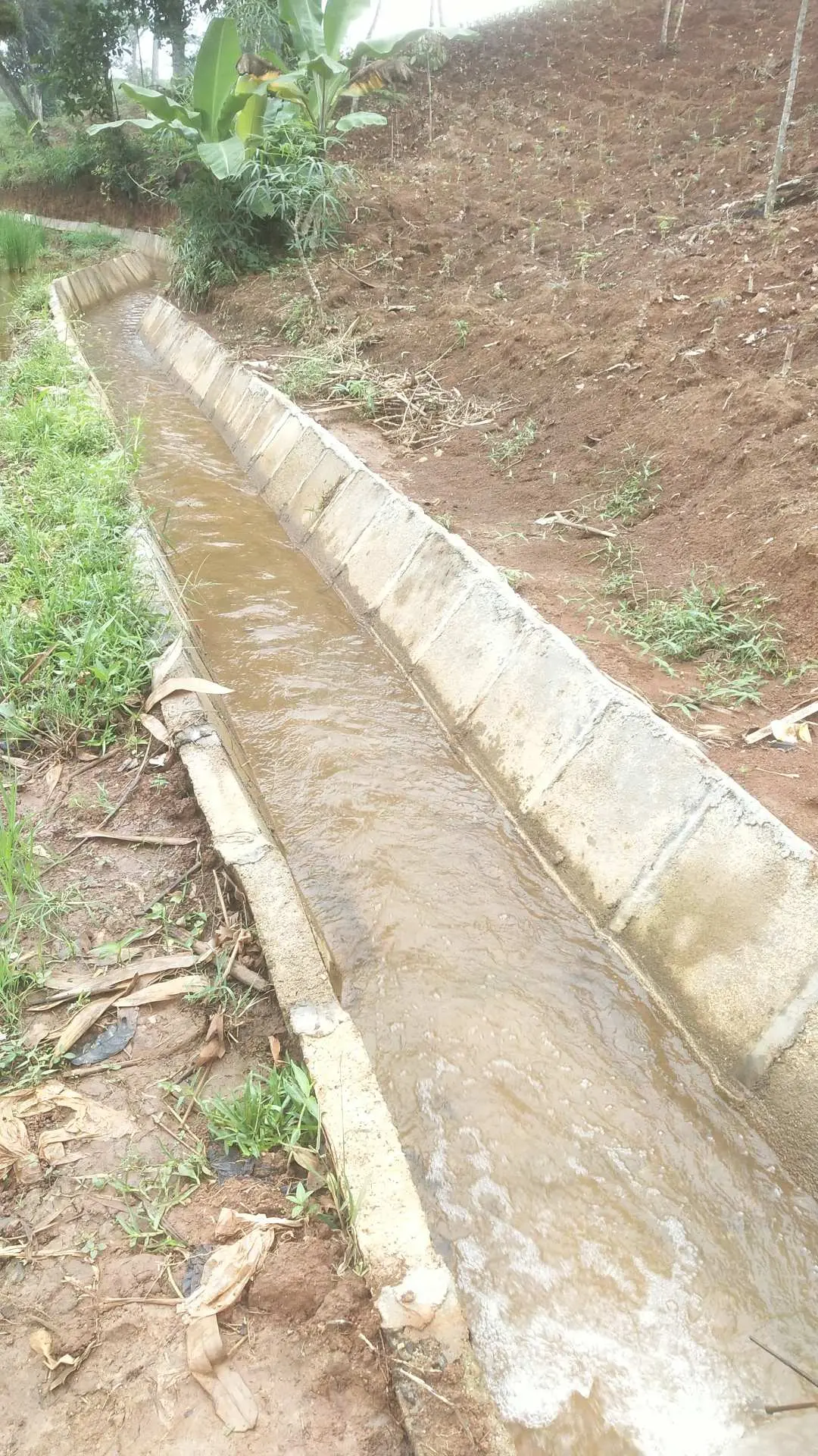 P3-TGAI di Kelurahan Kelapa Tujuh Tepat Sasaran di Apresiasi Warga