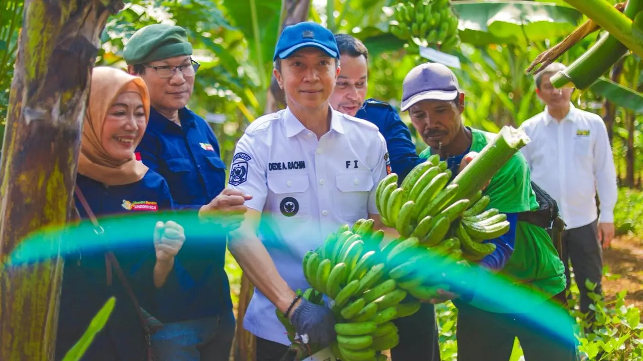 Panen Pisang Barangan Jumbo Merah, Dedie Rachim Ajak Warga Manfaatkan Lahan
