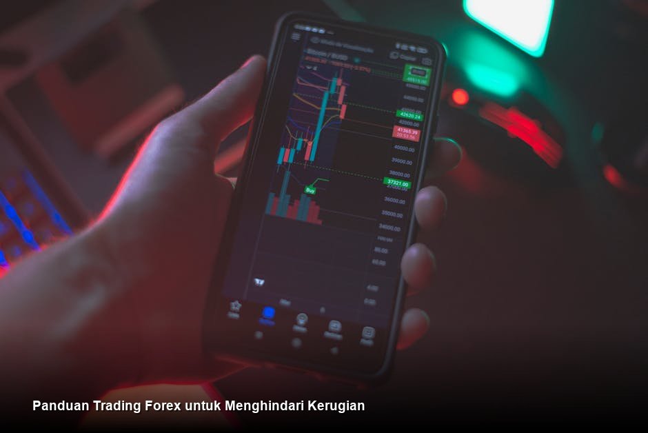 Panduan Trading Forex untuk Menghindari Kerugian