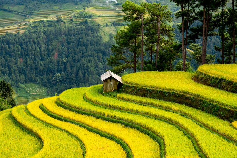 Navigating New Markets: Crypto Trends and Modern Personal Finance Tips