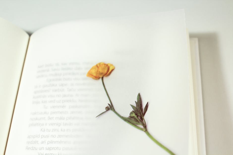 Ketika Rencana Patah: Menemukan Kedewasaan di Tengah Badai