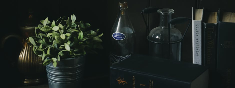 Lentera yang Padam dan Langkah yang Mendewasa