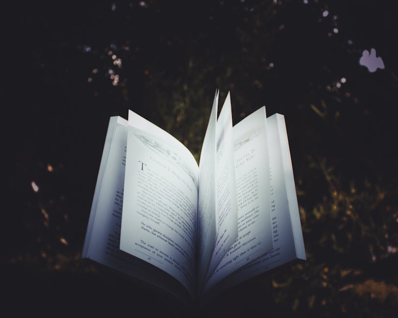 Jejak Langkah Sunyi Menuju Kedewasaan yang Tak Terduga