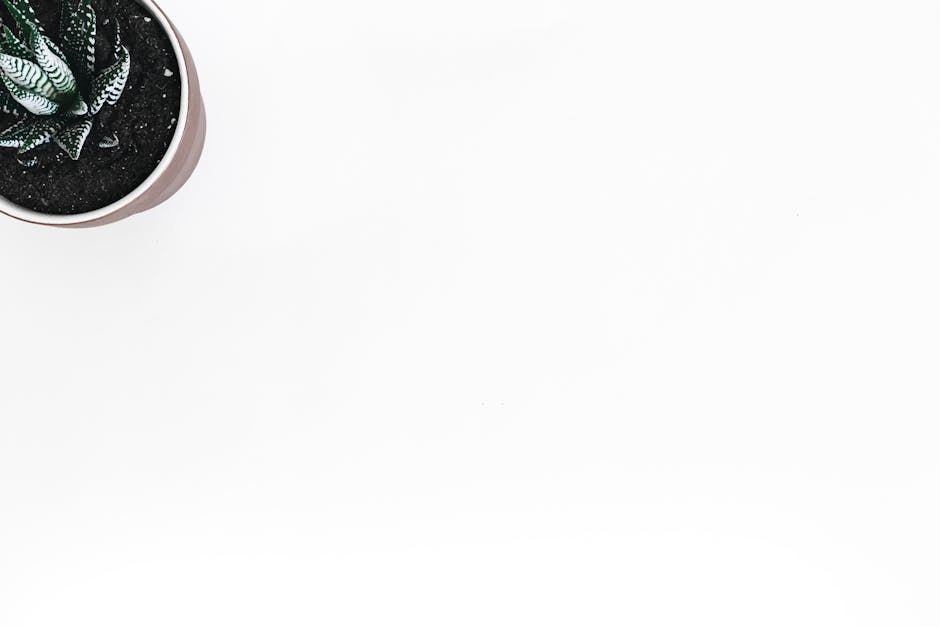 Panduan Navigasi Zodiak: Menyeimbangkan Karier dan Harmoni Personal